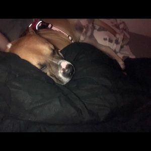 Meet your Posher, Austin